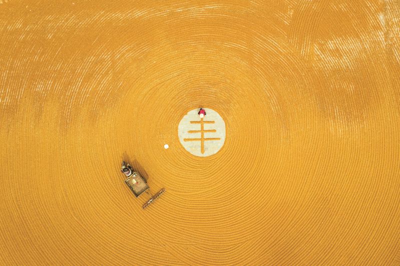 組照5《金秋的旋律》15534898848楊建峰2020年10月24日拍攝于山西永濟市蒲州鎮。山西省永濟市蒲州鎮,黃河岸邊萬畝秋糧喜獲豐收,農民抓住有力天氣晾曬秋糧準備入倉_副本1 組照5《金秋的旋律》15534898848楊建峰2020年10月24日拍攝于山西永濟市蒲州鎮。山西省永濟市蒲州鎮,黃河岸邊萬畝秋糧喜獲豐收,農民抓住有力天氣晾曬秋糧準備入倉_副本1