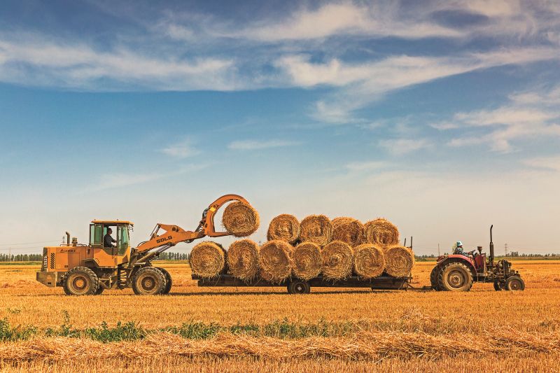 麥秸回收,發展養殖-3 潘志芳15603590909_副本 麥秸回收,發展養殖-3 潘志芳15603590909_副本