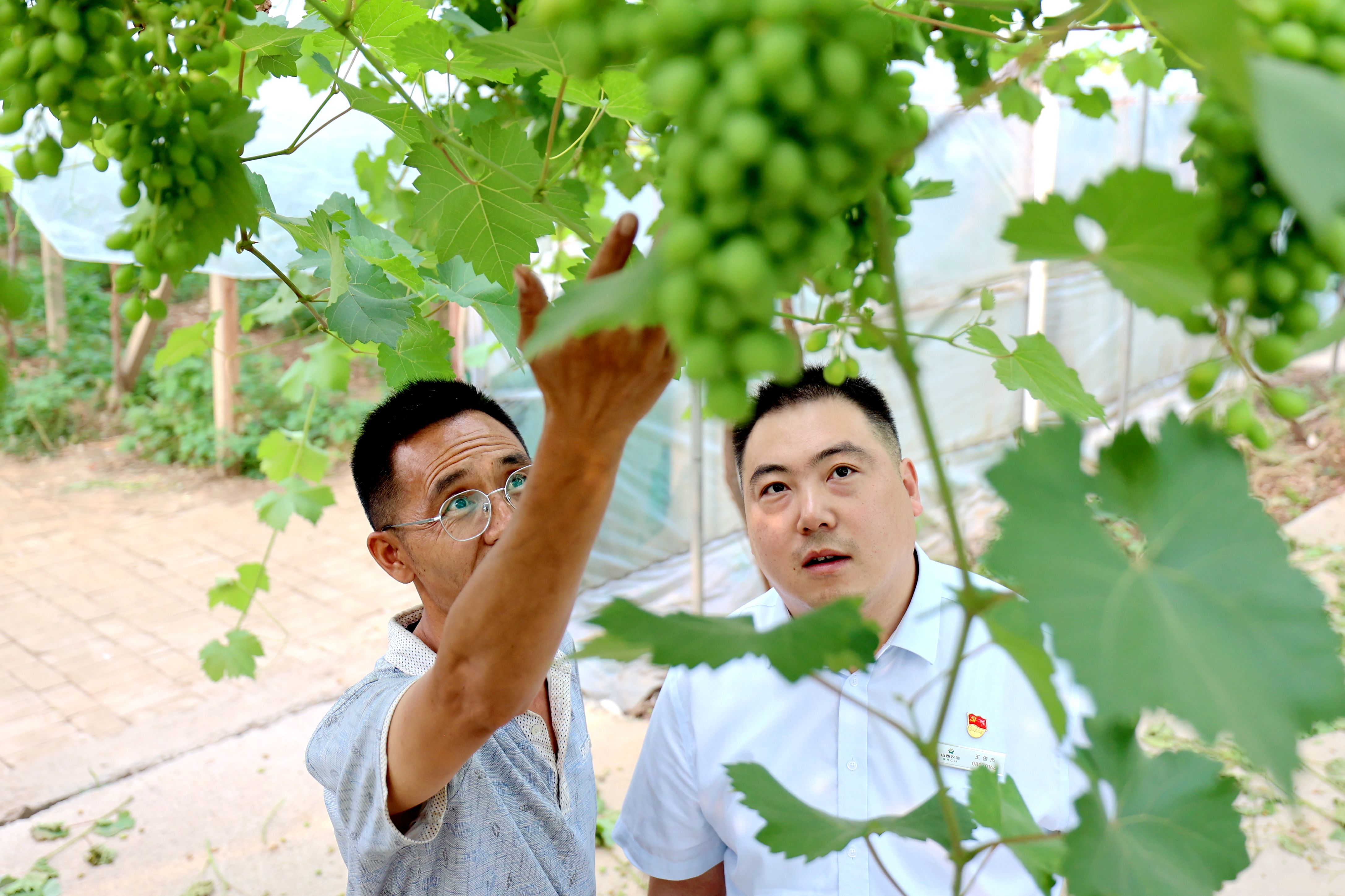 66.《四季畫卷-夏》壺關(guān)農(nóng)商銀行王喆 (1)