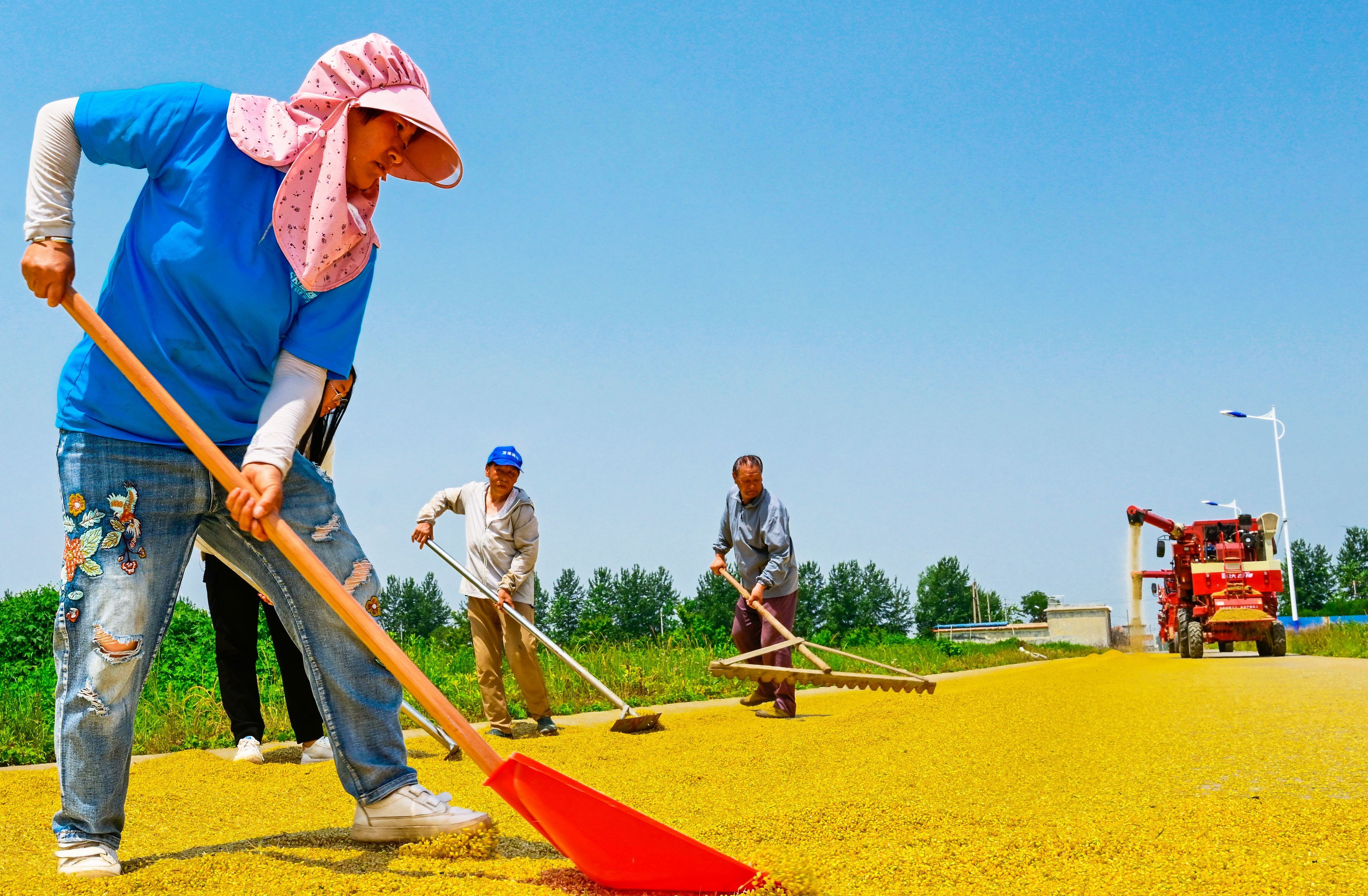 70.《麥浪金波,豐收滿倉》漳澤農(nóng)商銀行李雪 (1) 70.《麥浪金波,豐收滿倉》漳澤農(nóng)商銀行李雪 (1)