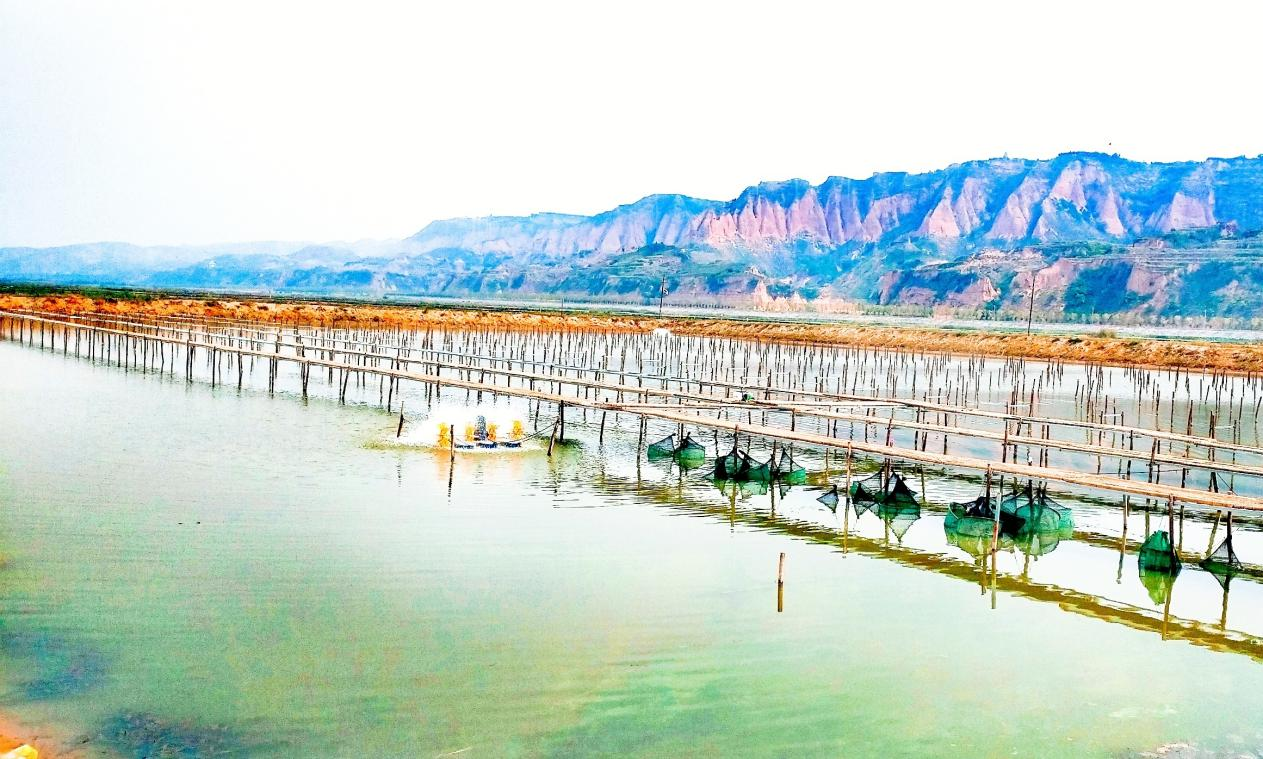 “南蟹北養”背后的“金融密碼”